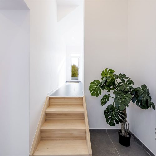 cp-40c15ce0ea61122bf2b9fac51de1204d