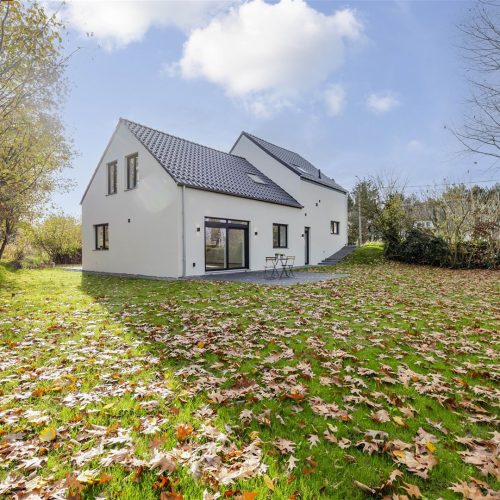 cp-ec3519f9e94b8d3921271946a8a5fd9c